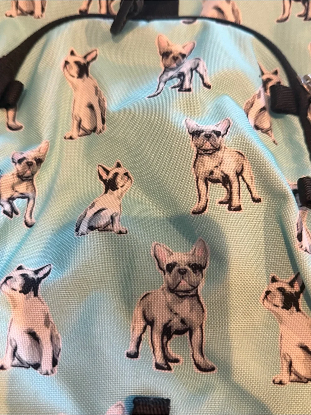 PB Pottery Barn Teen Backpack French Bulldog Dogs Large Gear-Up Laptop Sleeve